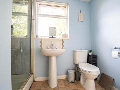 Picture 14